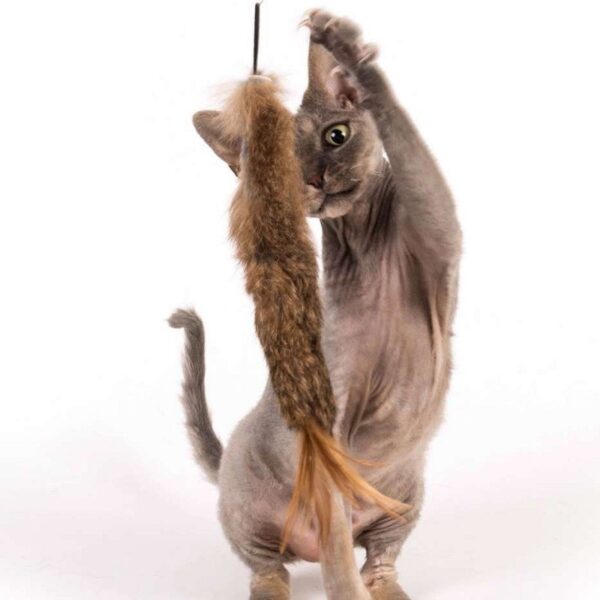 Purrs Cat Toys Wild Hare SquidlyDidly prooi navulling voor Purrsuit hengel - kattenspeeltje - hazenvacht