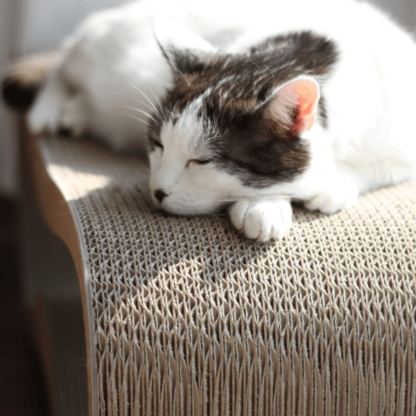 myKotty LUI duurzaam kartonnen krabmeubel voor katten bruin detail