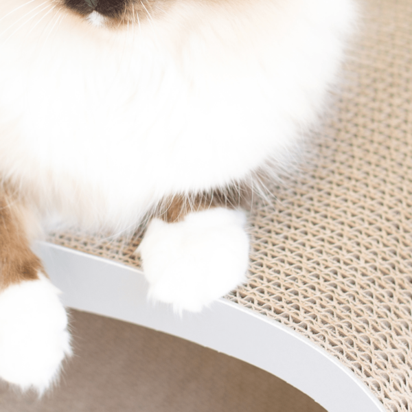 myKotty LUI scratcher duurzaam kartonnen krabmeubel voor katten grijs detail