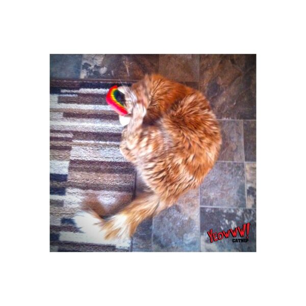 Yeowww! Rainbow met catnip kattenkruid speeltje
