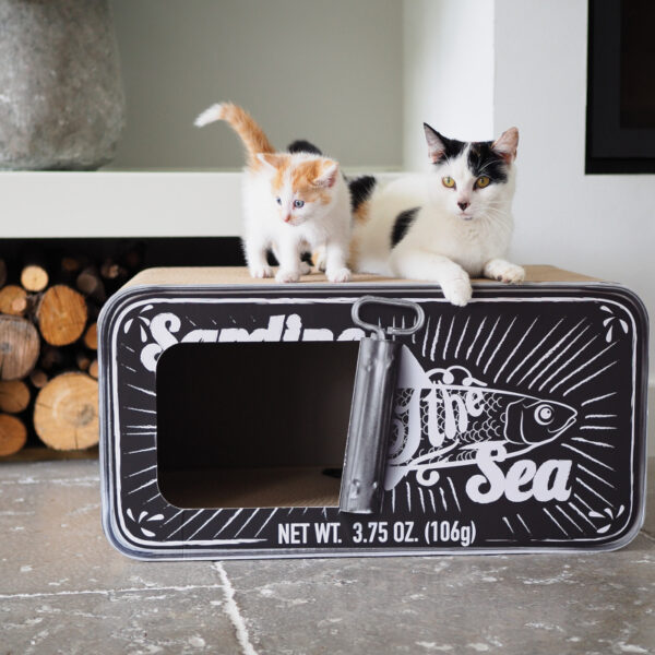 Distric 70 Sardine kartonnen krabmeubel voor katten