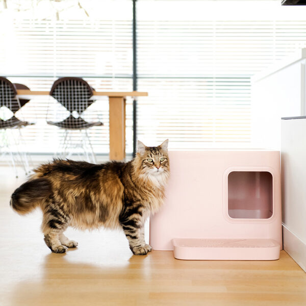 Hoopo - Dome Plus roze kattenbak