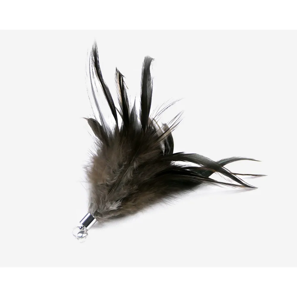 Tabby Tijger – Royal Rooster
