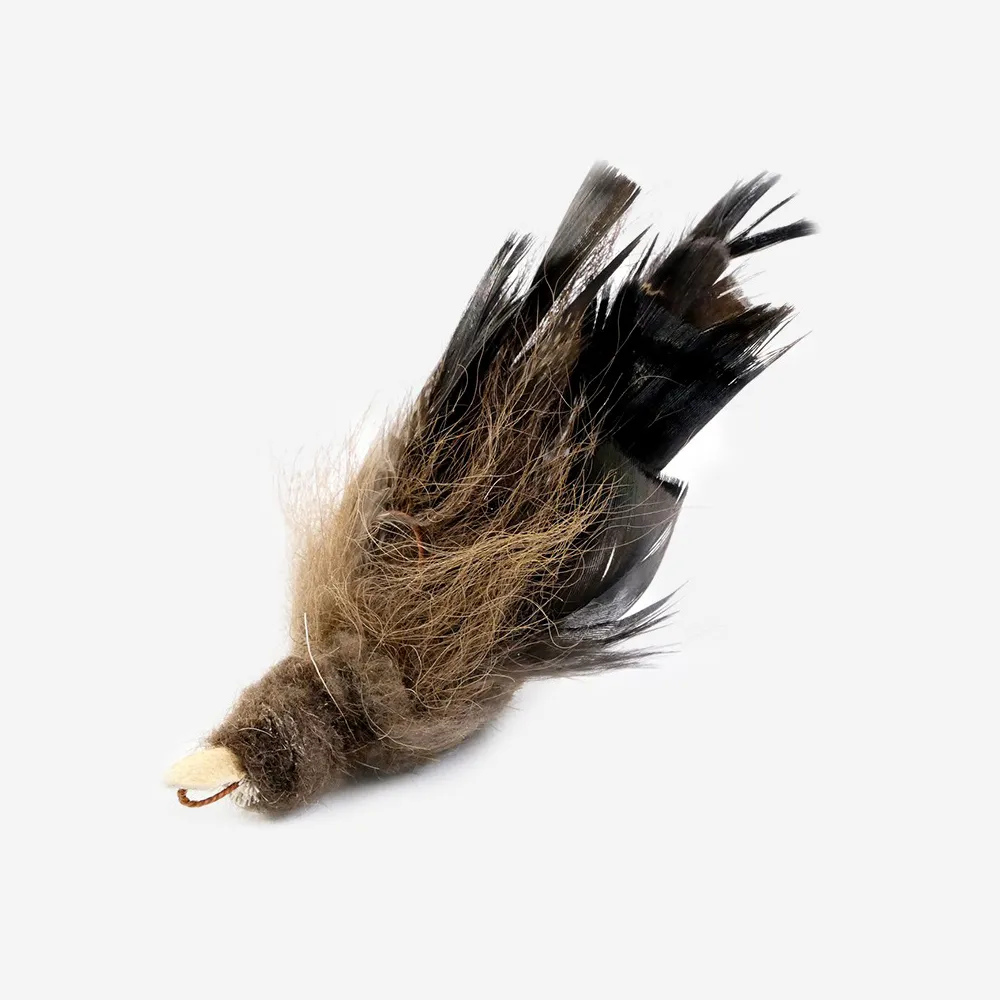 Tabby Tijger – Buffalo Huismus