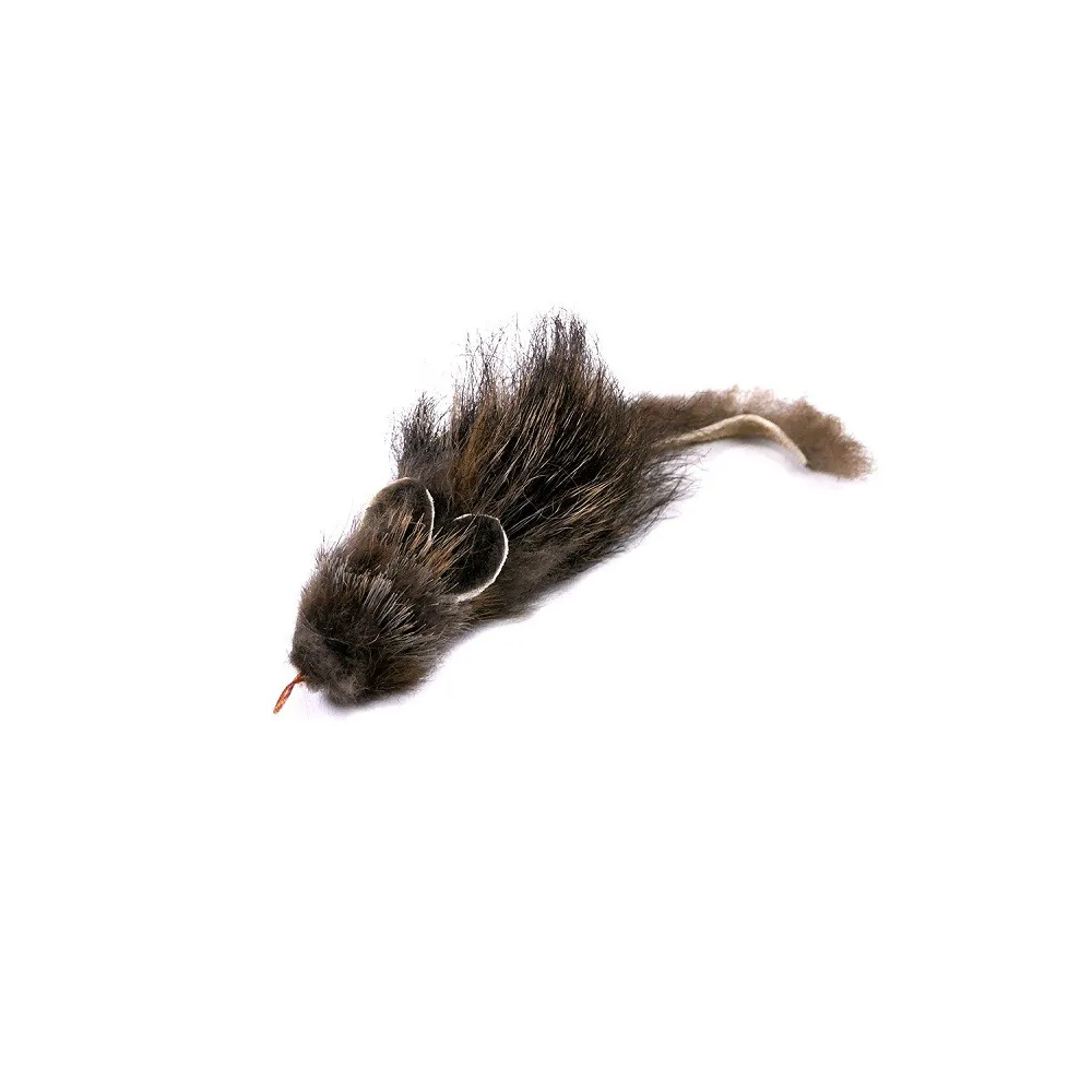 Tabby Tijger – Ratatouille